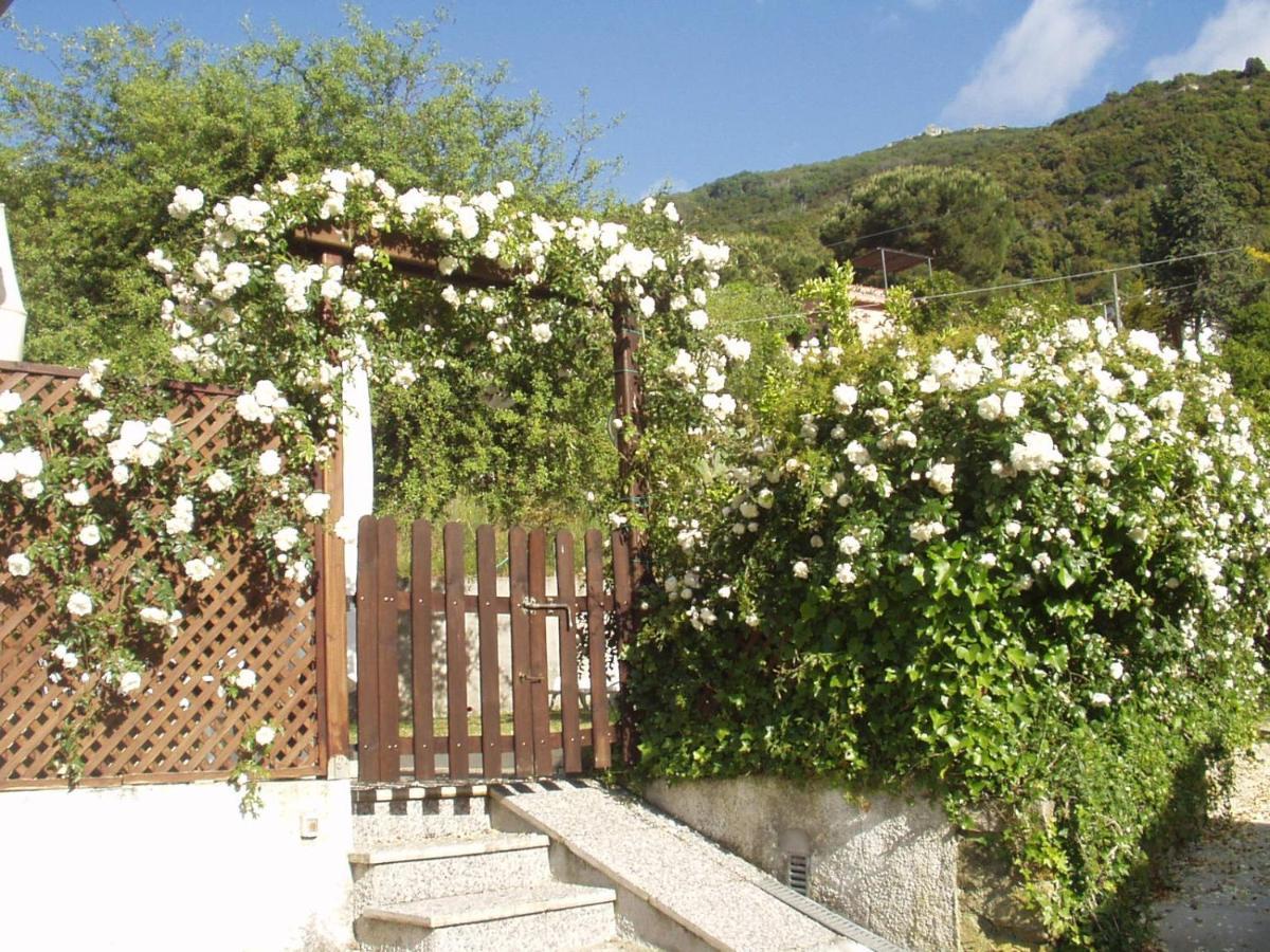 Villa Dei Limoni SantʼAndrea Exterior foto
